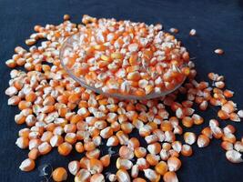 Pile of dry corn kernels. Stacked corn kernels isolated on black background. photo
