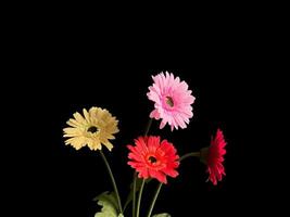 Paper flower background with empty field for greeting word. photo