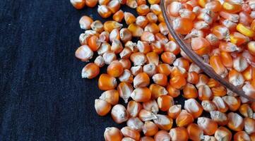 Close up of corn kernels can be used as background. photo