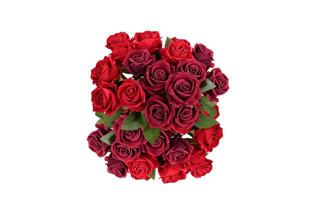 Red rose flower background with empty space for greeting text. Floral background photo