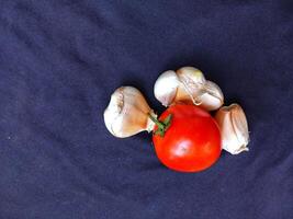 Tomato and garlic vegetable fruit on navy cloth background good for food. photo
