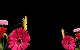 Sunflower background with empty space for greeting text. photo