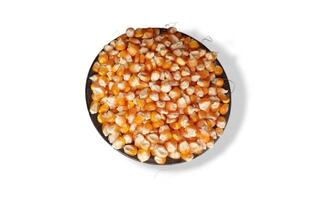 Close up of corn kernels can be used as background. photo