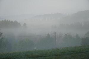 Fog over meadow in the morning photo