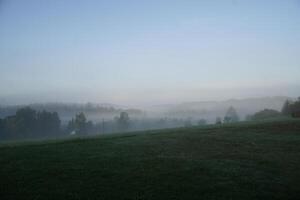 Fog over meadow in the morning photo
