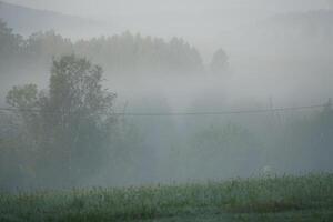 Fog over meadow in the morning photo