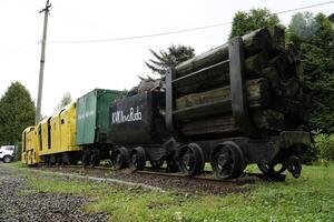 Nowa Ruda, Poland - August 4th, 2024 - Mining transportation carts photo