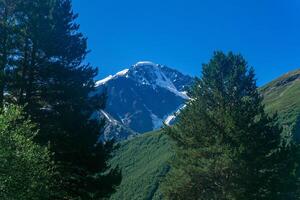 mountain landscape, view of snowy mount peak from valley photo