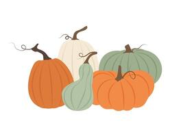 Set of a farm-fresh pumpkin for autumnal celebrations. illustration for autumn season and traditional harvest themes vector