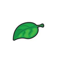 single green leaf in outline flat design. vector