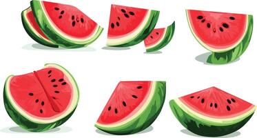 slices of watermelon in different positions. vector