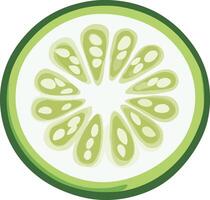 round cucumber slice, showing detailed seeds vector