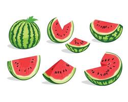 slices of watermelon in different positions. vector