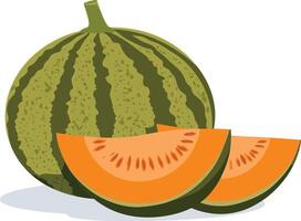 cantaloupe melon with two slices vector
