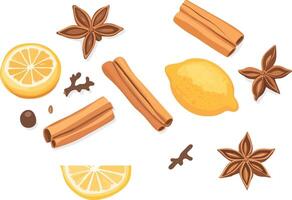 Lemon slices, star anise, and cinnamon sticks vector