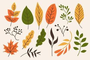Set of different autumn leaves and twigs on doodle style isolated on white background. Minimal hand drawn design element collection vector