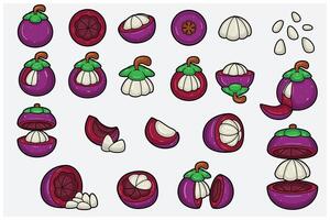 Mangosteen fruits cartoon set with slice, half, cutting and different pose. Design elements for backdrop, pattern, wallpaper, label, flavor, strain and packaging. vector
