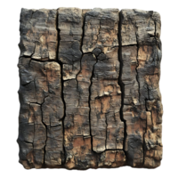 Cracked and Charred Wood Texture with a Transparent Background png