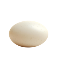 A Single Egg with a Transparent Background, Isolated on Black png