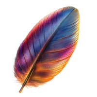 A Single Colorful Feather Isolated on a Transparent Background, Showing Off Its Exquisite Details and Iridescent Hues png