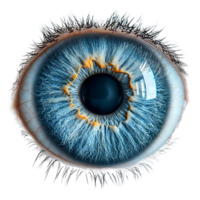 avvicinamento di un' blu occhio con un' trasparente sfondo, con intricato dettagli di il iris e allievo png