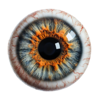 The Eye, a Close-Up View of the Human Iris, Featuring a Vibrant Orange Iris and Detailed Blood Vessels, Isolated on a Transparent Background png