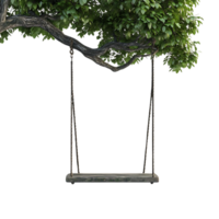 Swinging from a Tree Branch with a Transparent Background png