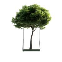 Swinging from a Tree Branch with a Transparent Background png