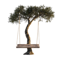Swinging Underneath a Tree with a Transparent Background png