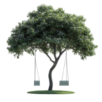 Swinging in the Shade of a Lush Tree with a Transparent Background png