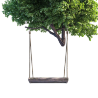 A Wooden Swing Hanging from a Tree Branch with a Transparent Background png