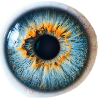 A Close Up of a Blue Eye with an Orange Iris on a Transparent Background png