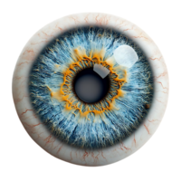 A Close-Up View of a Human Eye with a Transparent Background png