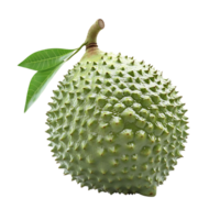 Soursop Fruit with Green Leaves on Transparent Background png