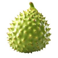 Spiky Green Soursop Fruit with Transparent Background png