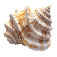 Sea Shell with a Transparent Background, a Detailed Close-up of a White and Brown Shell with a Smooth and Shiny Texture png