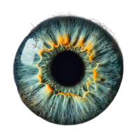 A Close-Up Look at the Human Eye with a Transparent Background, Featuring Intricate Details of the Iris and Pupil png