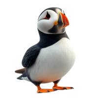 Cute Puffin with Transparent Background, a Fluffy Seabird with a Black and White Pattern, Isolated on Black Background png