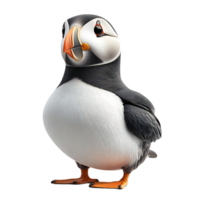 Adorable Puffin with Transparent Background, a Delightful and Charming Seabird png