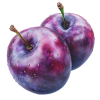 Two Plums with Dew Drops on a Transparent Background png