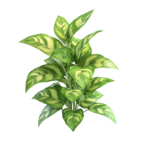 Striped Green Leaves with a Transparent Background, Perfect for Adding a Touch of Nature to Your Designs png