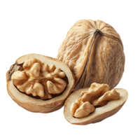 Walnut Shells Cracked Open, Displaying the Nut Inside on a Transparent Background png