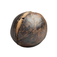 A Close-Up of a Brown Nut with a Crack on a Transparent Background png