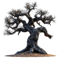 Ancient Twisted Tree with a Transparent Background, Majestic and Timeless, Isolated for Design png