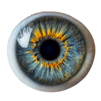 A Close-Up View of a Human Eye with a Transparent Background, Revealing the Intricate Details of the Iris and Pupil png