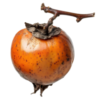 A Ripe Persimmon with a Twig, Isolated on a Transparent Background png
