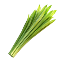 Fresh Green Pandan Leaves with Transparent Background for Culinary and Decorative Purposes png