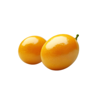 Two Ripe Kumquats with Transparent Background - A Delightful Citrus Fruit with a Sweet and Tart Flavor png