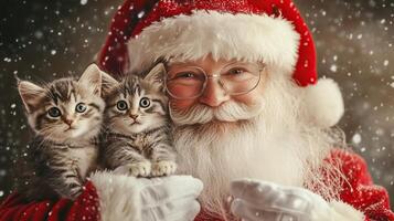 Santa Claus and cute funny cats. Christmas card concept photo