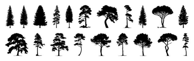 Flat trees set. Tree icons are set in a modern flat style. Silhouette of tree on white background. graphic trees elements, Architecture and Landscape Design Illustration of Green vector